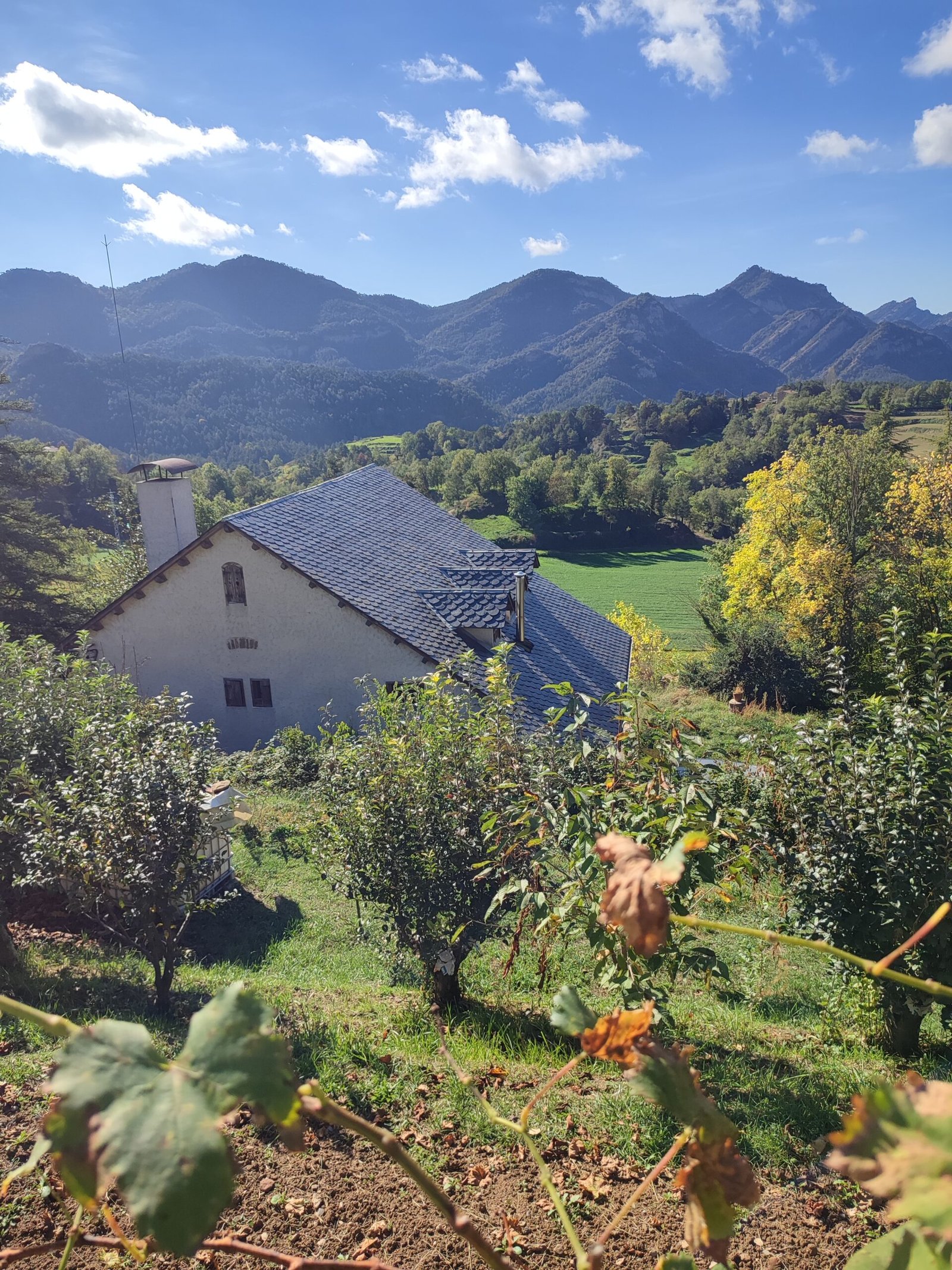 Casa Defe - Imagen 6